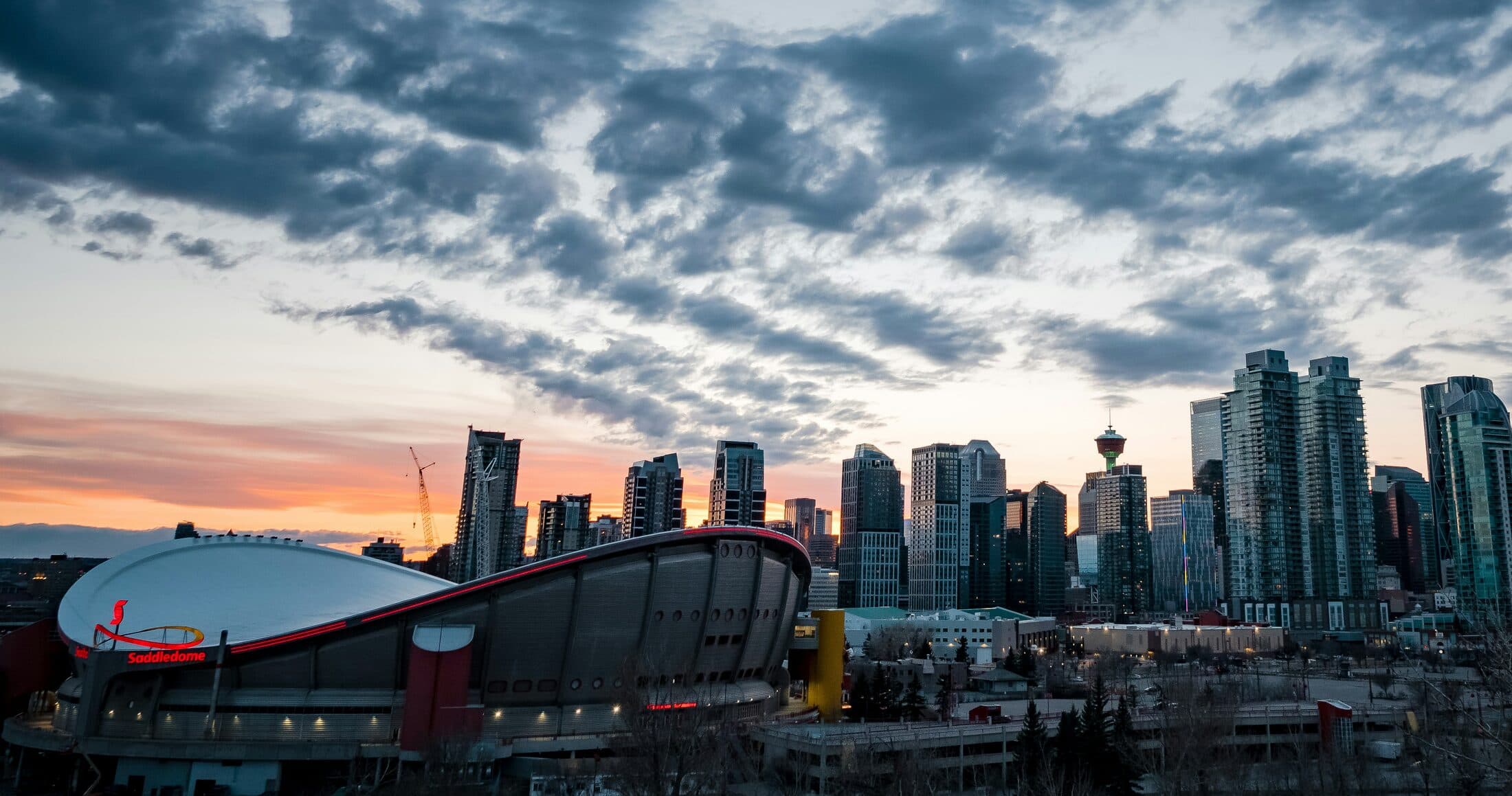 Michelle Fournier Joins Saleable as Vice President, Strategic Partnerships & Growth, Western Canada